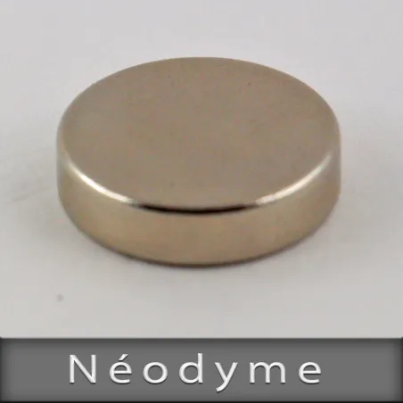 Néodyme Ø20mm Ep. 5mm