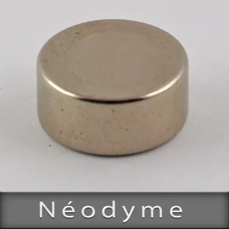 Néodyme Ø22mm Ep. 10mm