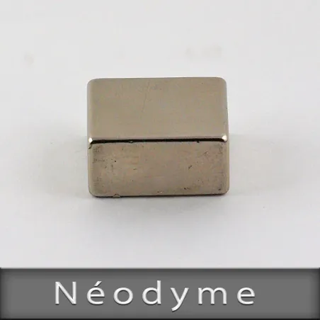 NEODYME  22mm x 11mm  Hauteur 18mm