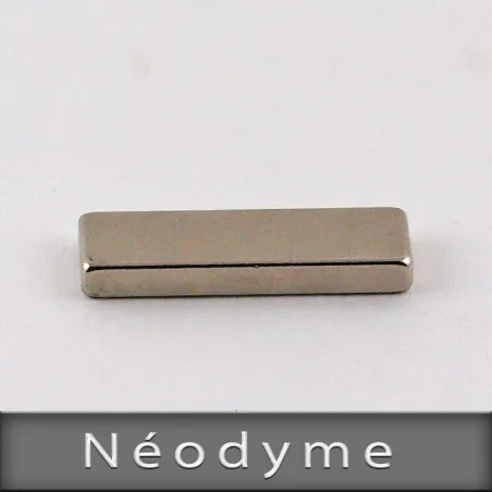 Néodyme Format L25mm X H3mm