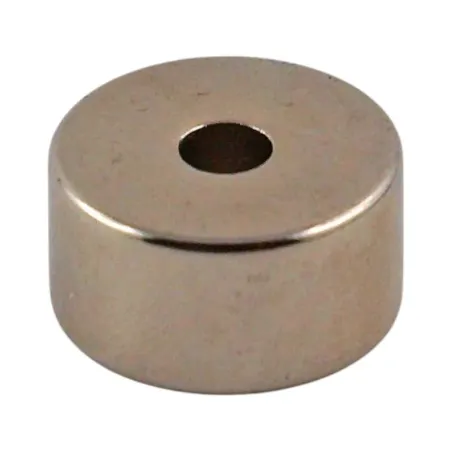 NEODYME Ø19mm / Ø 5mm EP. 10mm - Par 100 NEODYME Ø19mm / Ø 5mm EP. 10mm - Par 100