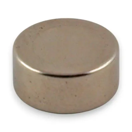 Néodyme Ø22mm Ep. 10mm - Par 100 Néodyme Ø22mm Ep. 10mm - Par 100