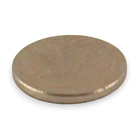Néodyme Ø22mm Ep. 3mm - Par 100 Néodyme Ø22mm Ep. 3mm - Par 100