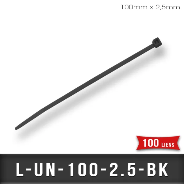 Lien de Fermeture nylon 100mm L2,5mm Noir