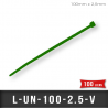 Lien de Fermeture nylon 100mm L2,5mm Vert